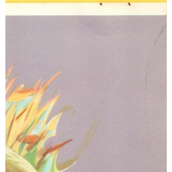 Vintage Art Print Beautiful Birds Series The Mallard Duck 1940s Unframed - Picture 2 of 2